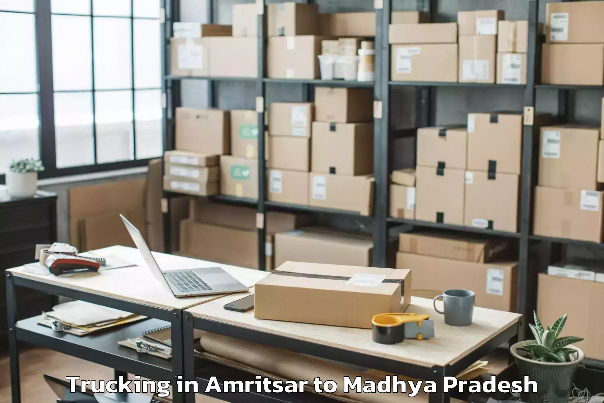 Professional Amritsar to Majhauli Trucking